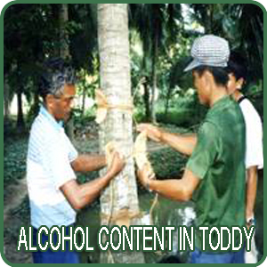 Alcohol Content in Toddy