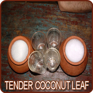 Tender Coconut Leaf