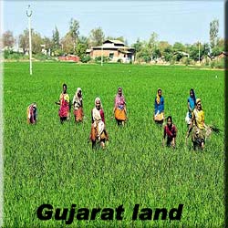 Gujarat land