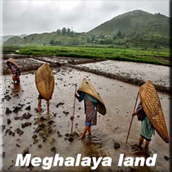 Meghalaya Land
