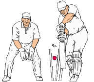  Dismissal Cricket