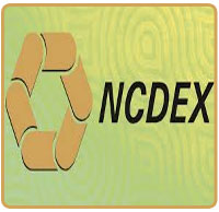 National commodities and Derivatives Exchange