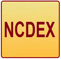 NCDEX introduced DHAANYA in November 2010