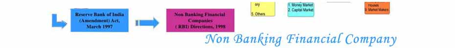 Non Banking Financial Company Services