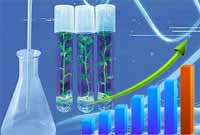 Indian Biotechnology Industry in 2012-2013