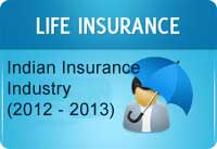 Indian Insurance Industry in 2012-2013