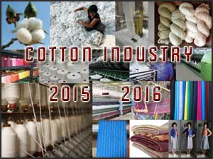 Indian Cotton in 2015-2016