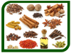 Indian Spices at A Glance in 2015 - 2016