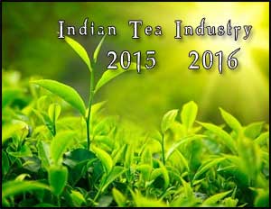 Indian Tea Industry in 2015-2016
