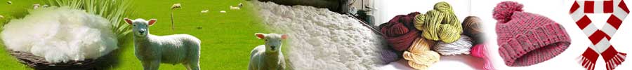 Indian Wool Industry
