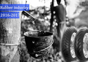 Indian Rubber in 2016-2017