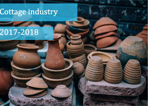 Indian Cottage Industry in 2017-2018