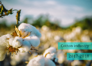 Indian Cotton in 2017-2018
