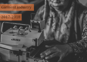 2017-2018 Indian Garment Industry