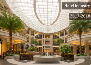 2017-2018 Indian Hotel Industry