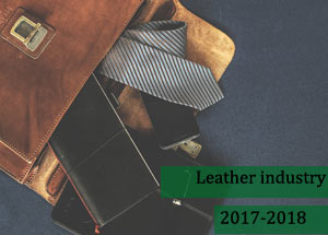 2017-2018 Indian Leather Industry