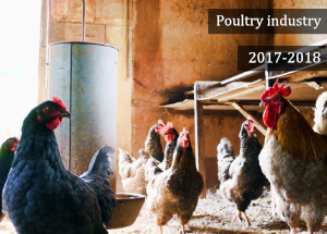 2017-2018 Indian Poultry Industry