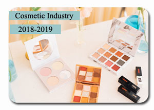 Indian Cosmetic Industry in 2018-2019