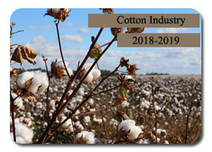 Indian Cotton in 2018-2019