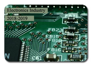 2018-2019 Indian Electronics Industry