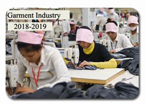 2018-2019 Indian Garment Industry