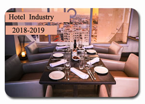 2018-2019 Indian Hotel Industry