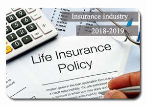 2018-2019 Indian Insurance Industry