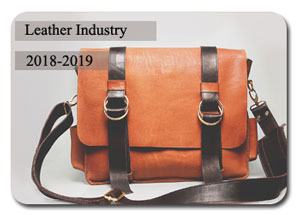 2018-2019 Indian Leather Industry