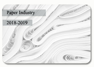 2018-2019 Indian Paper Industry