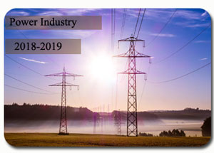 2018-2019 Indian Power Industry
