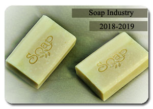 2018-2019 Indian Soap Industry