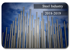 2018-2019 Indian Steel Industry
