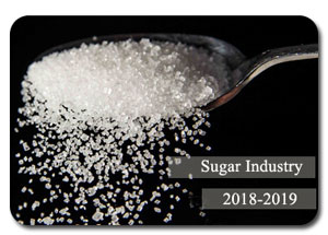 2018-2019 Indian Sugar Industry
