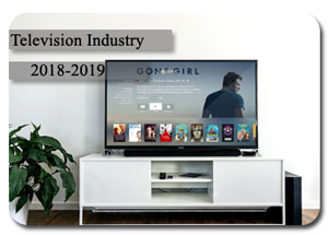 Indian Television Industry in 2018-2019