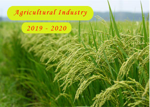 2019-2020 Indian Agriculture Industry