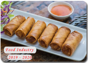2019-2020 Indian Foodprocessing Industry