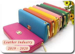 2019-2020 Indian Leather Industry
