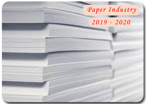 2019-2020 Indian Paper Industry