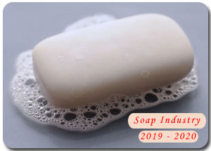 2019-2020 Indian Soap Industry