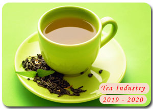 2019-2020 Indian Tea Industry