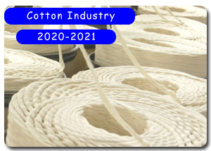 2020-2021 Indian Cotton Industry