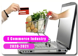 Indian E-commerce Industry in 2020-2021