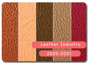 2020-2021 Indian Leather Industry