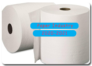 2020-2021 Indian Paper Industry