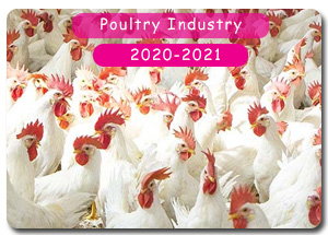 2020-2021 Indian Poultry Industry