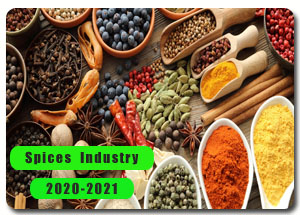 2020-2021 Indian Spices Industry