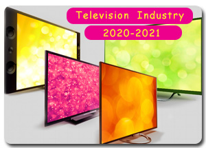 Indian Television Industry in 2020-2021