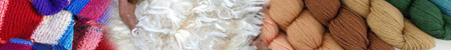 Indian wool Industry 