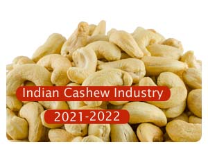 2021-2022 Indian Cashew Industry