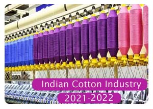 2021-2022 Indian Cotton Industry